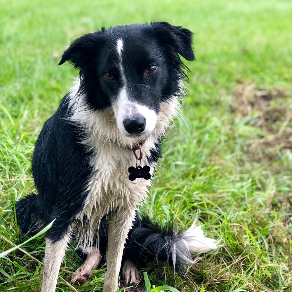 Meet your Posher, Jordan